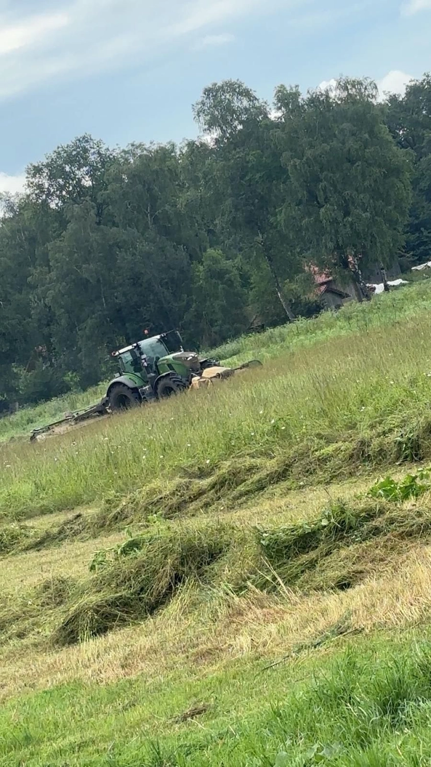 Lohnunternehmen Horak - Forst & Landwirtschaftliches - Mähkombination