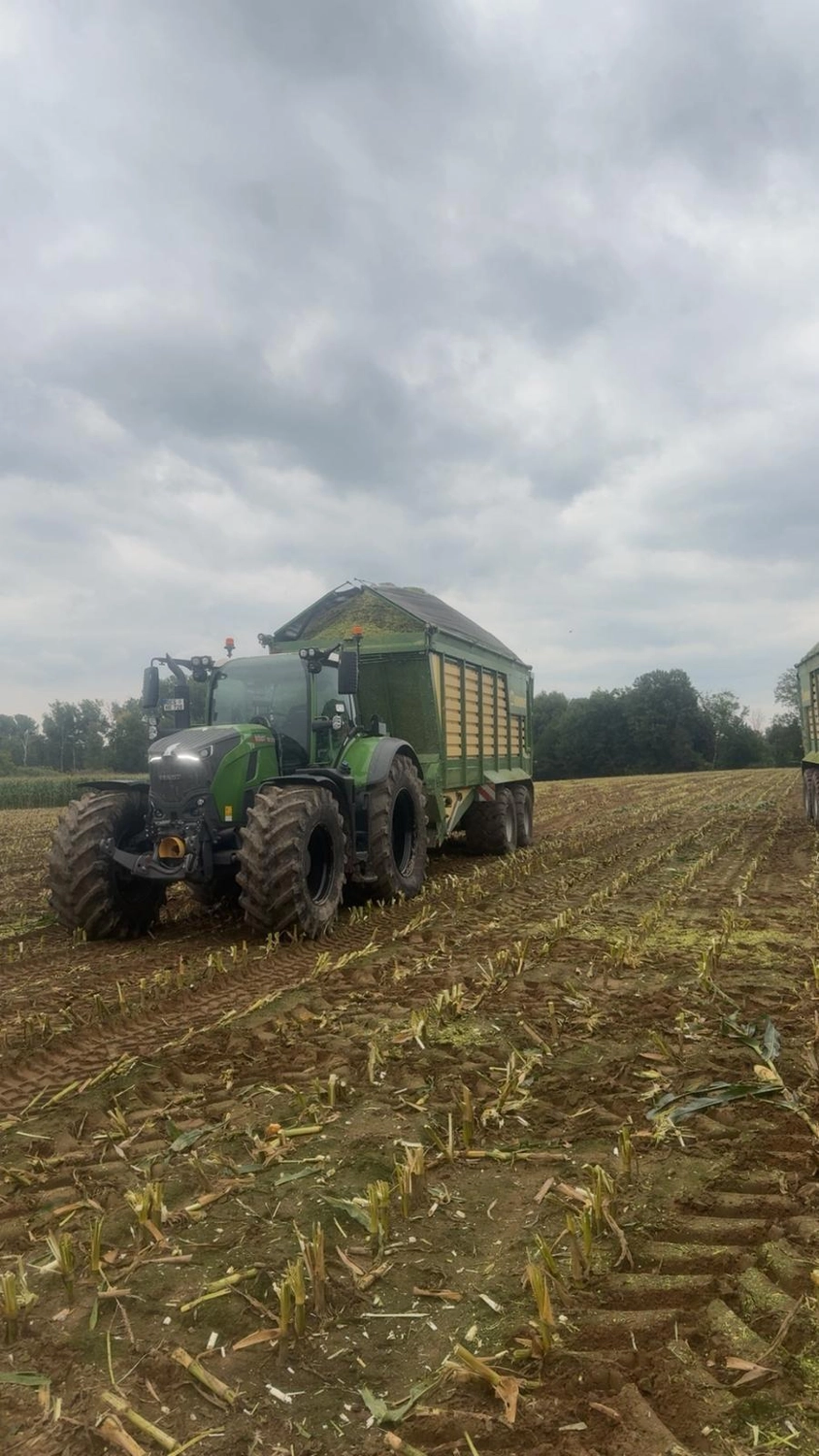 Lohnunternehmen Horak - Forst & Landwirtschaftliches - Silagetransport